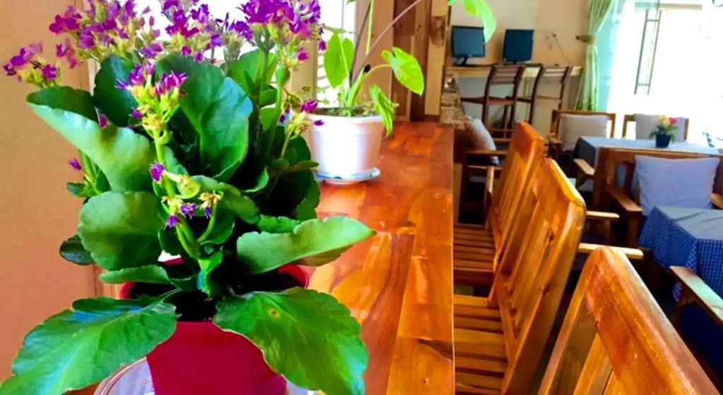Ciao Hostel - photo 15