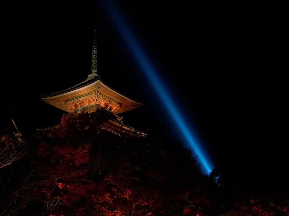 Kyoto Higashiyama Santouan - photo 5