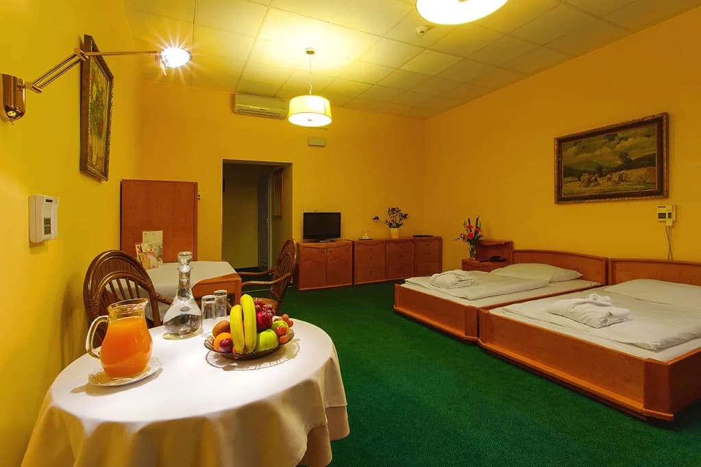 Wellness & Treatment Hotel Ghc - photo 14