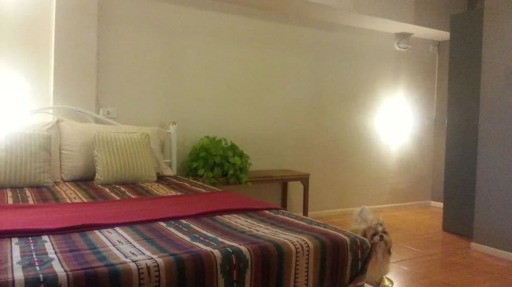 S99 hostel - photo 32