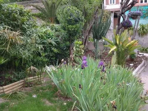 Villa Bellab - photo 11