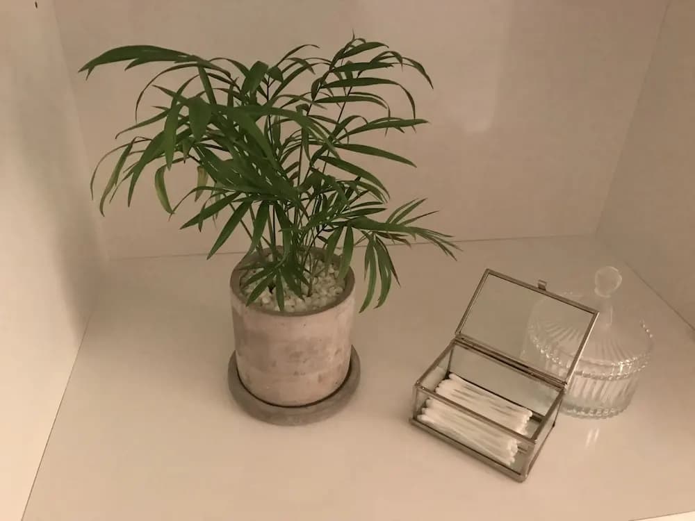 Greenery House - photo 10