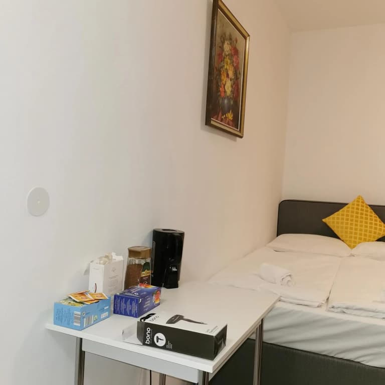 Speedyrooms Vienna - photo 22