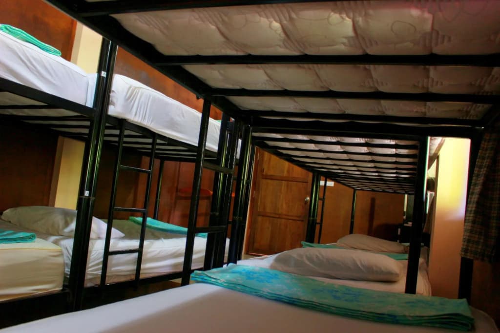 Love Station Hostel - photo 34
