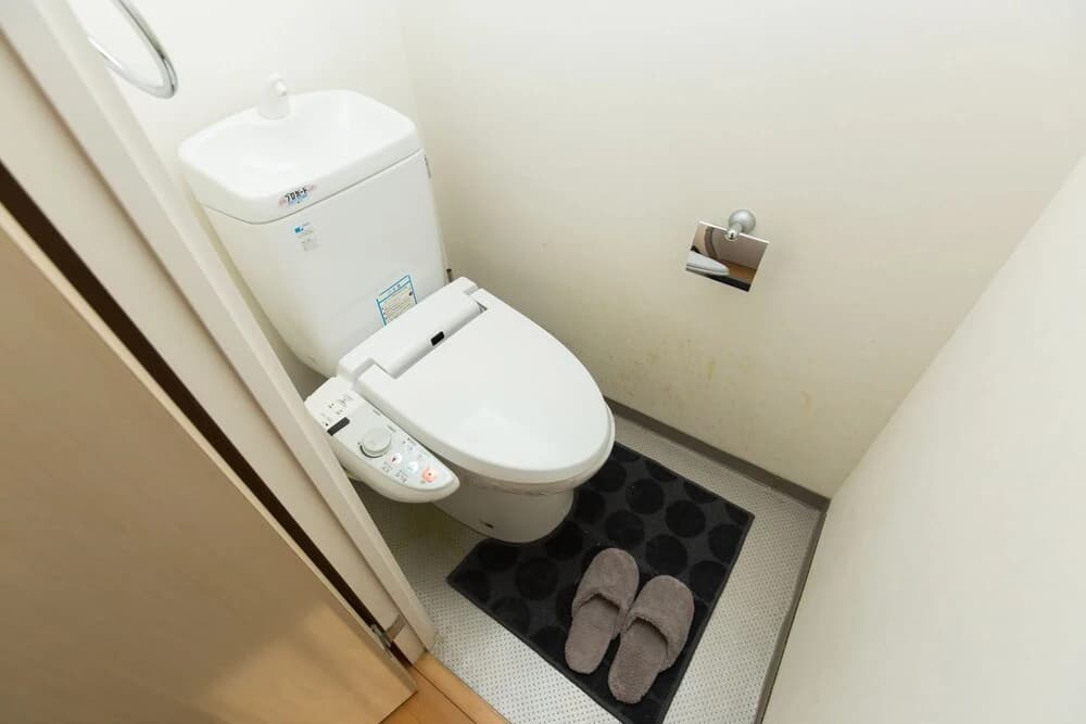 FUJISAKURA - photo 9