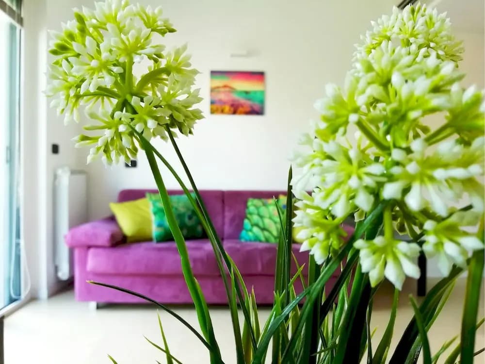 StepAndGo Apartments - photo 16