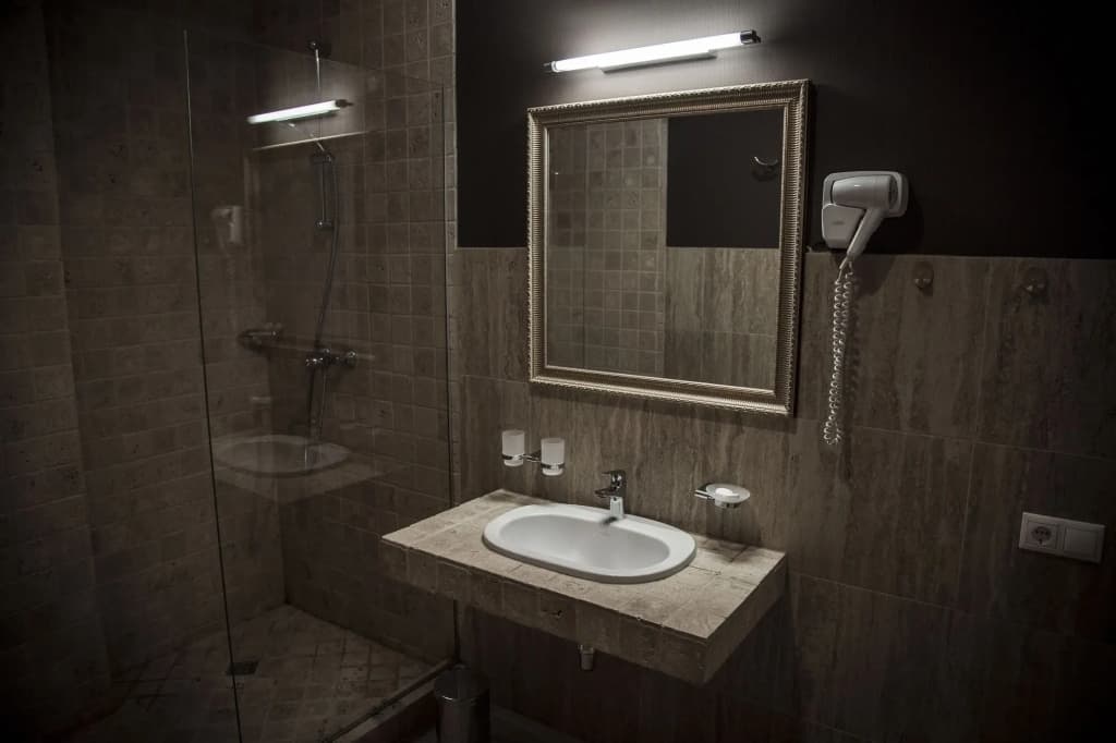 Hotel ZP Palace - photo 20