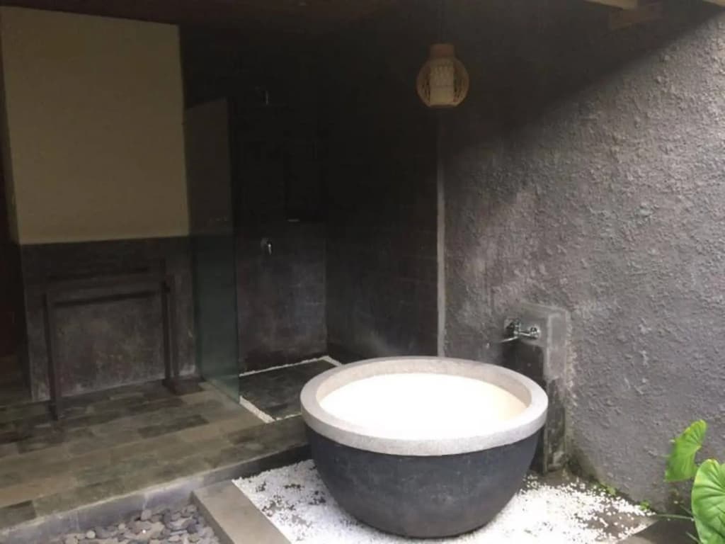 Bucu View Ubud Resort - photo 18