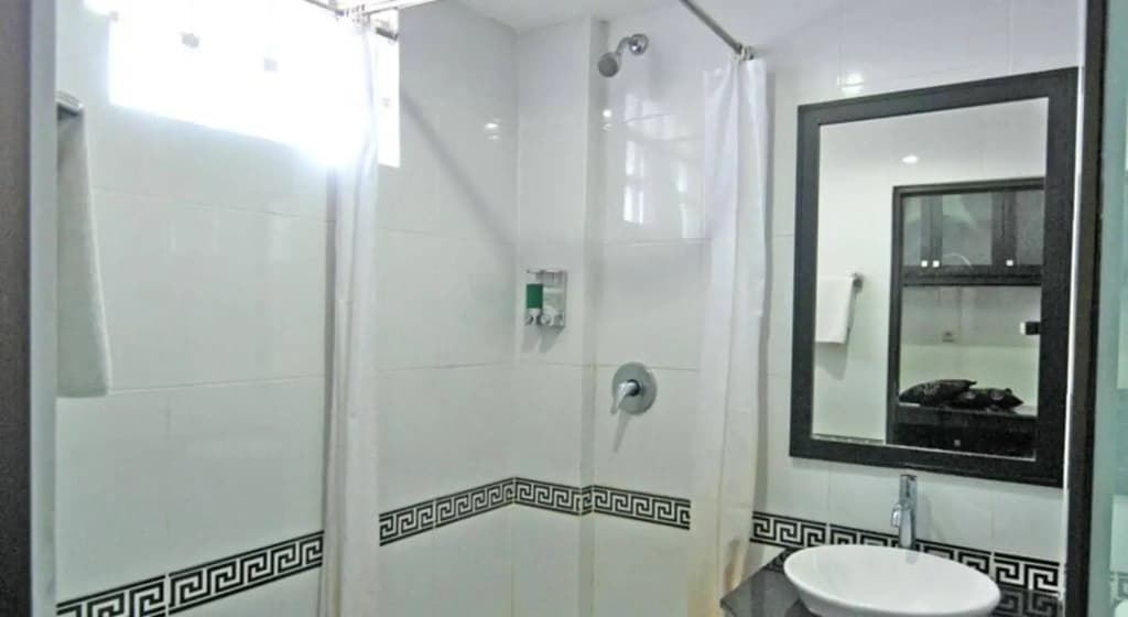 Arya Hotel and Spa - photo 6