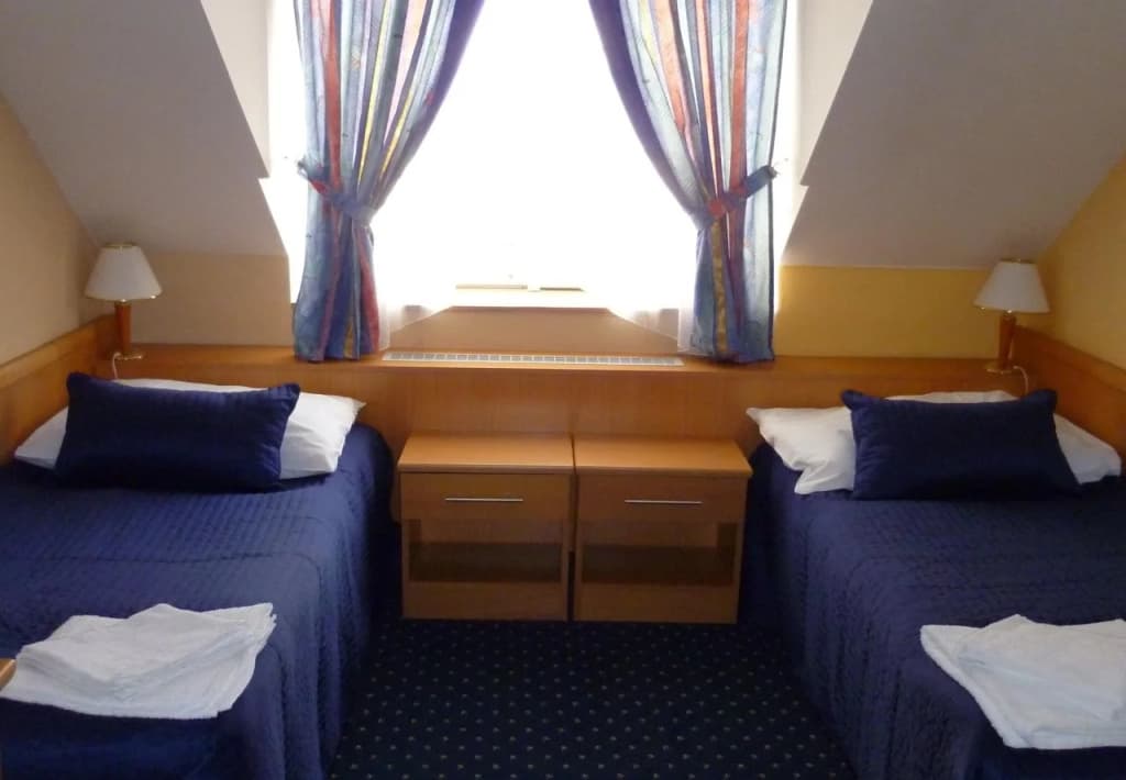 Hotel Aladin - photo 6