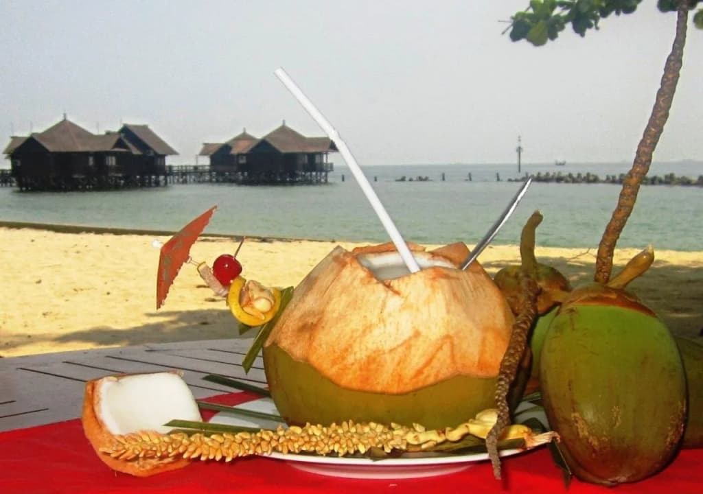 Pulau Ayer Resort and Cottages - photo 12