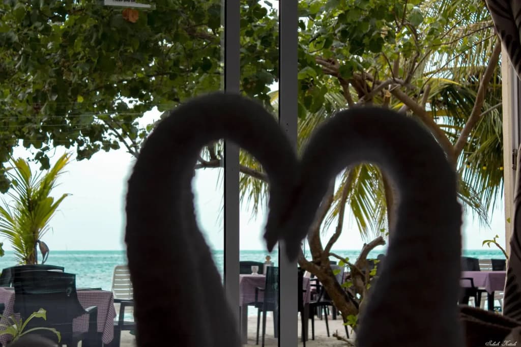 Crown Beach Hotel Maldives - photo 21