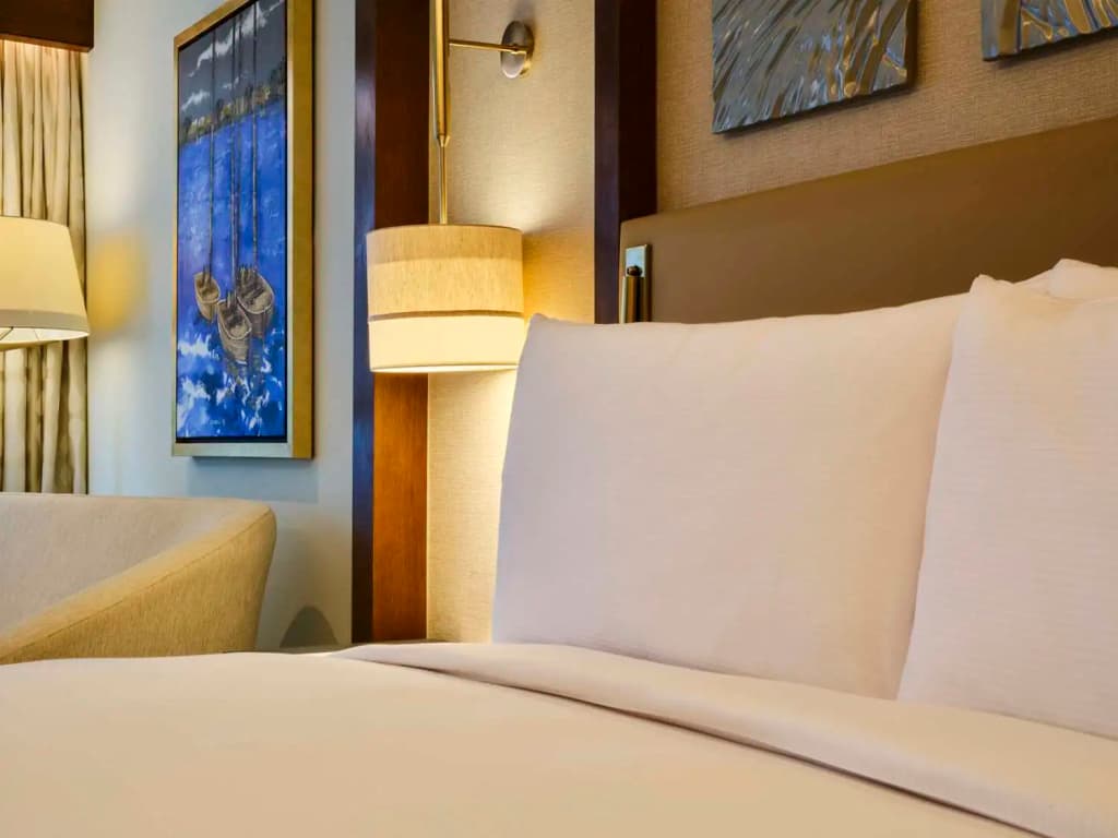 Hilton Cairo Nile Maadi - photo 43