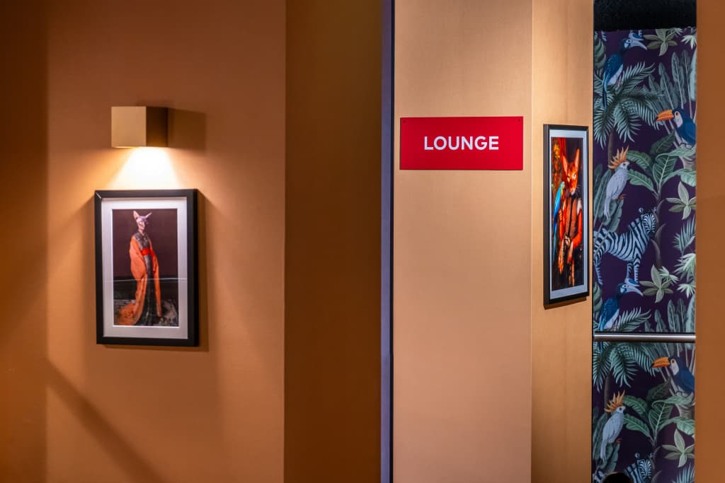 Leonardo Hotel Amsterdam Leidse Square - photo 9