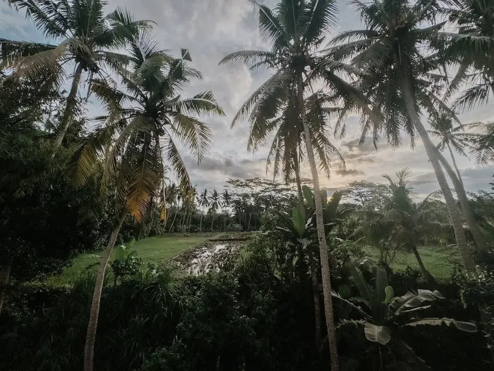 Uma Lys Villa Ubud - photo 20