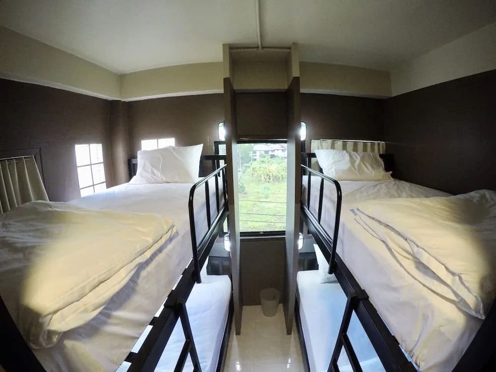 Why Not Hostel and Kitchen - photo 47