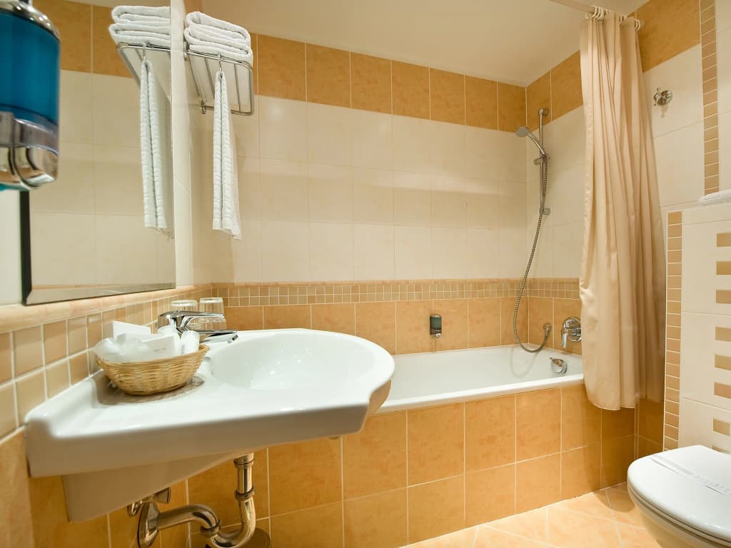 EA Hotel Rokoko - photo 8