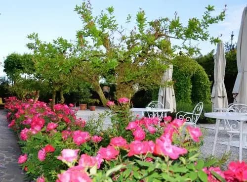Locanda Cipriani - photo 9