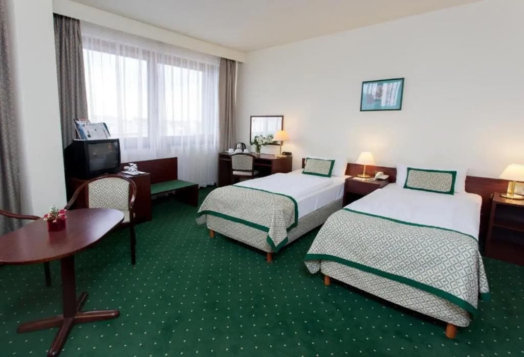Danubius Hotel Hungaria City Center - photo 50