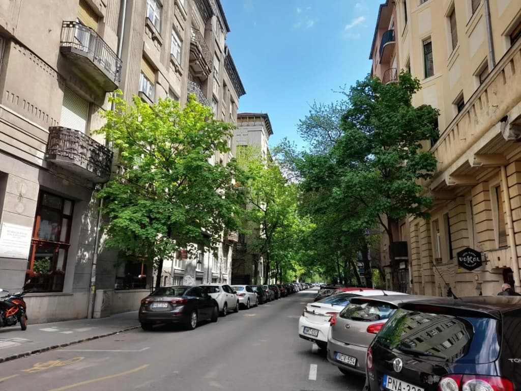 Stylish Homes Downtown Buda - photo 5