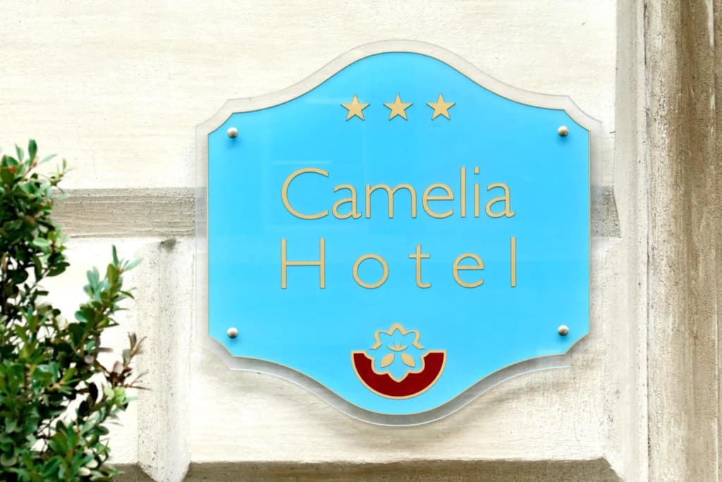 Сamelia Hotel - photo 48