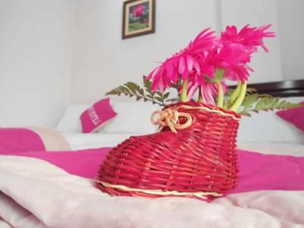 Fulmar Hotel Danang - photo 4