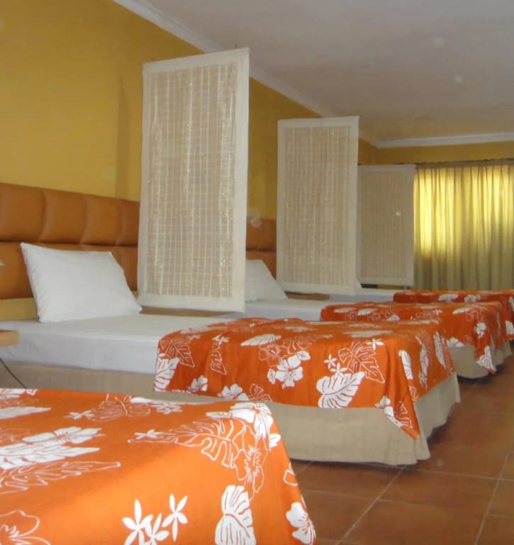 Balira Airport Hotel - photo 5