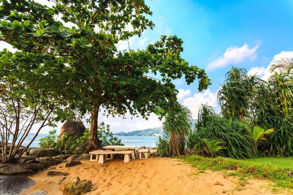 Farrah Oceanfront Villa - photo 20