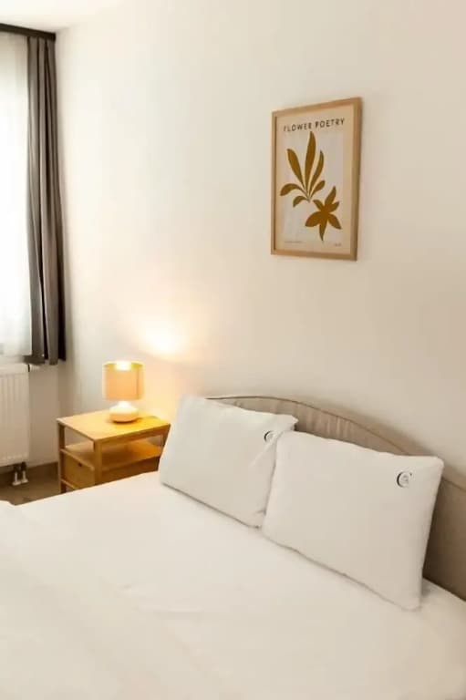 Magnolia Apartment Hotel - photo 20