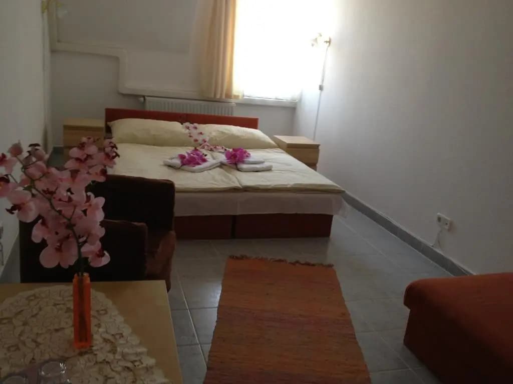 Hotel Timon - photo 4