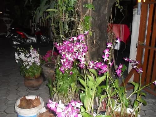Your House 3 Guest House - photo 24