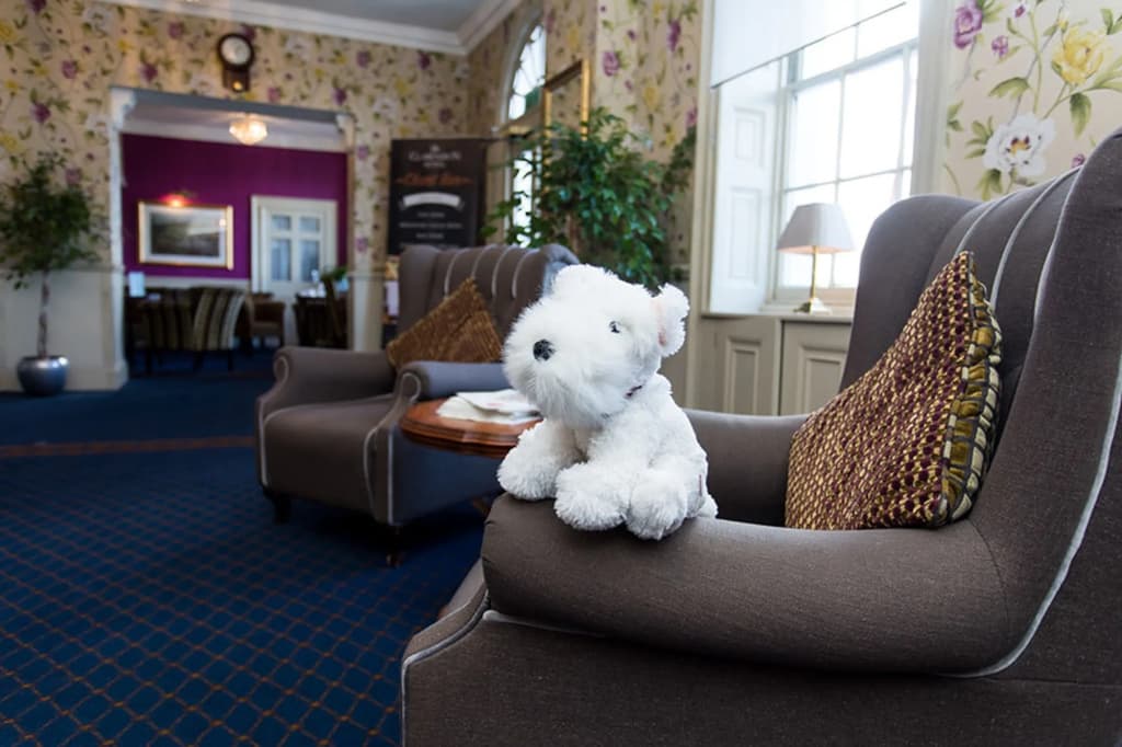 The Clarendon Hotel - Blackheath - photo 19
