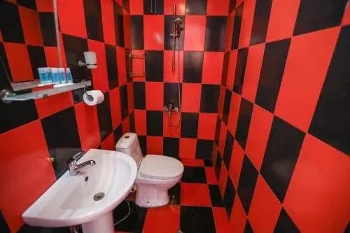 Hotel Oasis Tbilisi - photo 8