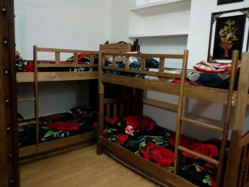 Tofi Hostel Tbilisi - photo 3