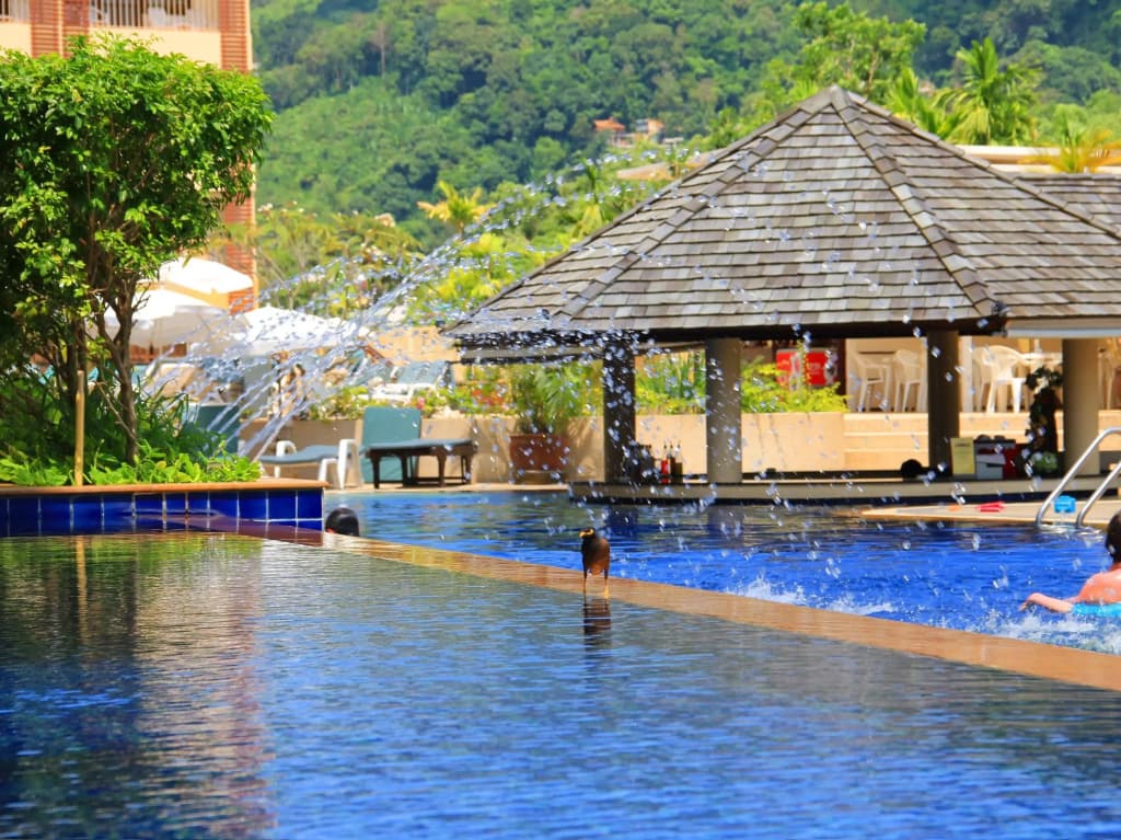 Woovo Phuket Kata - photo 16