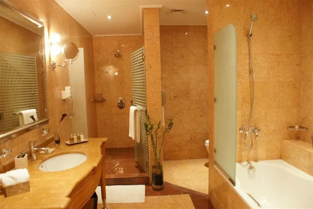 Wiseman Grand Hotel - photo 8