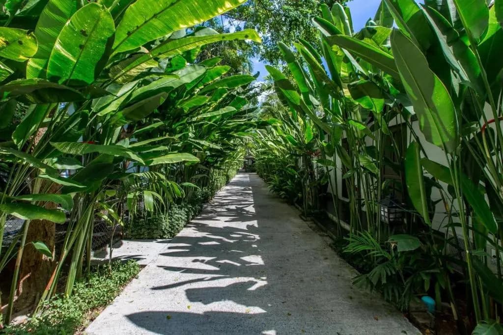 Nai Yang Beach Resort & Spa - photo 18