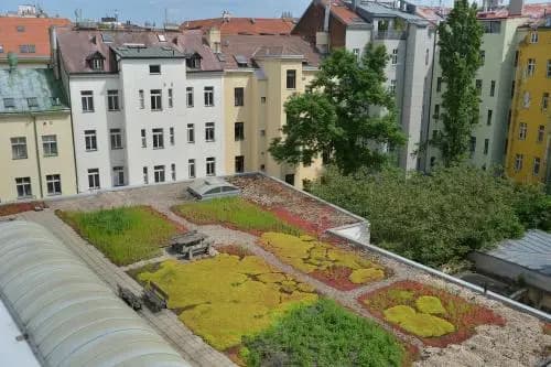 Prague Season - photo 21