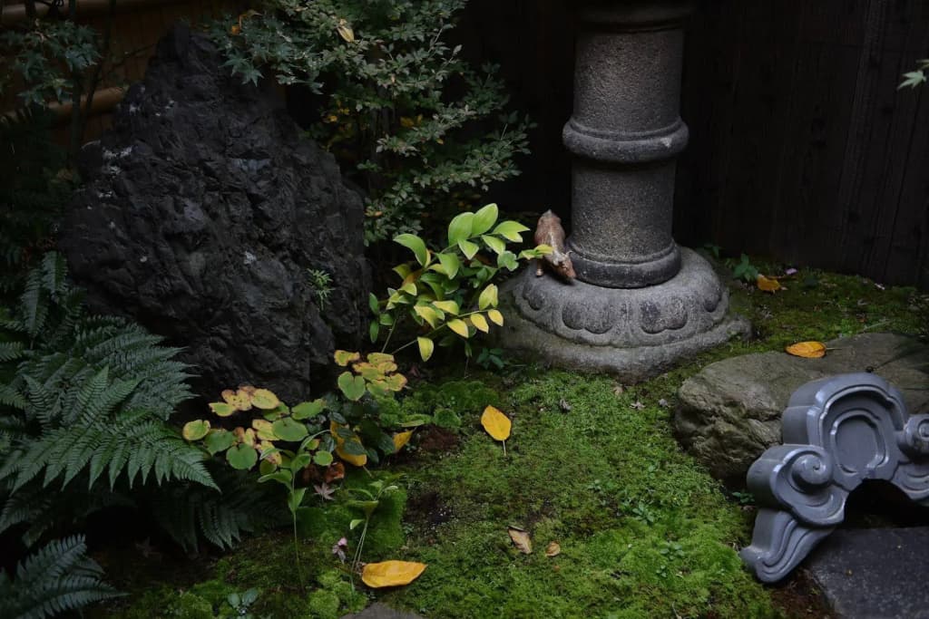 Guesthouse Bokuyado - Hostel - photo 10