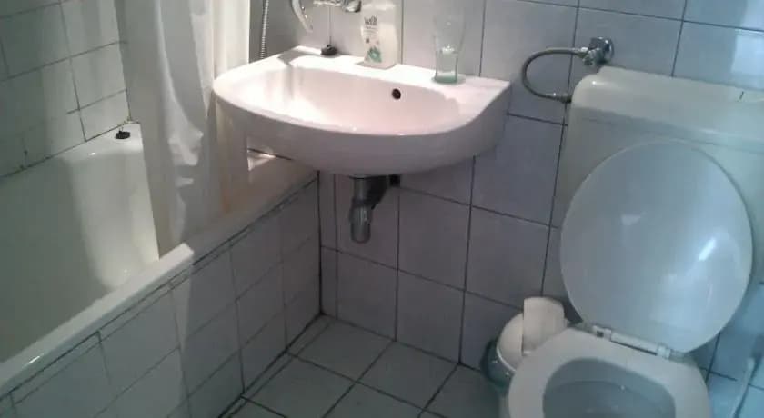 Fehér Páva Hotel - photo 7