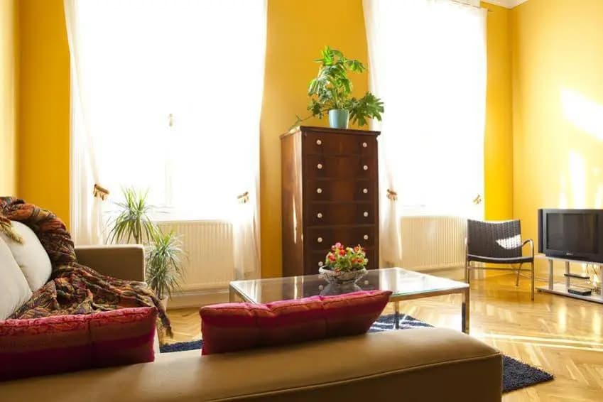 Bouillon Apartman - photo 4
