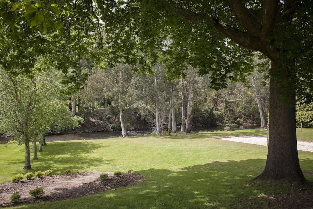 Best Western Yarra Valley - photo 14