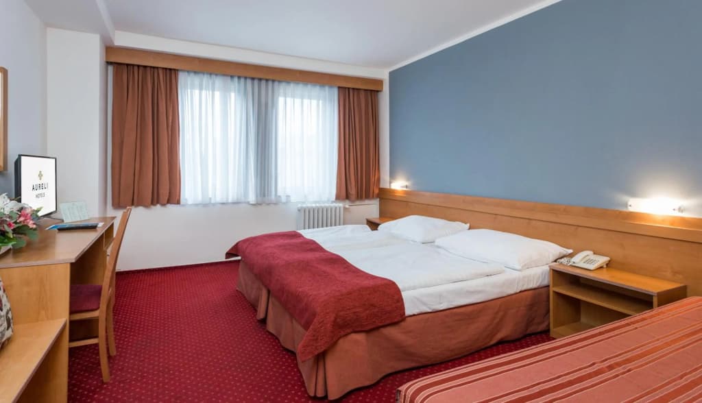 Hotel Globus - photo 23