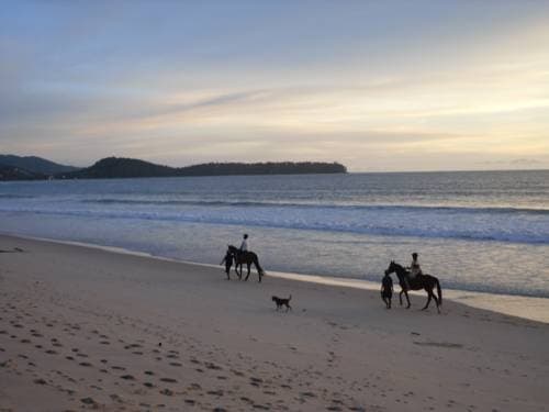 Teeta Resort - photo 11
