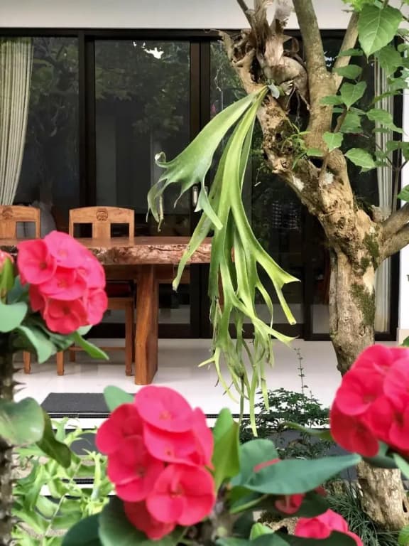 The Hidden Bali Inn - photo 25