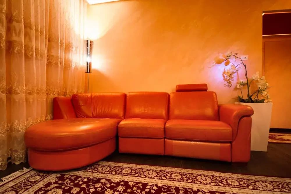 Home Holiday Magenta - photo 10