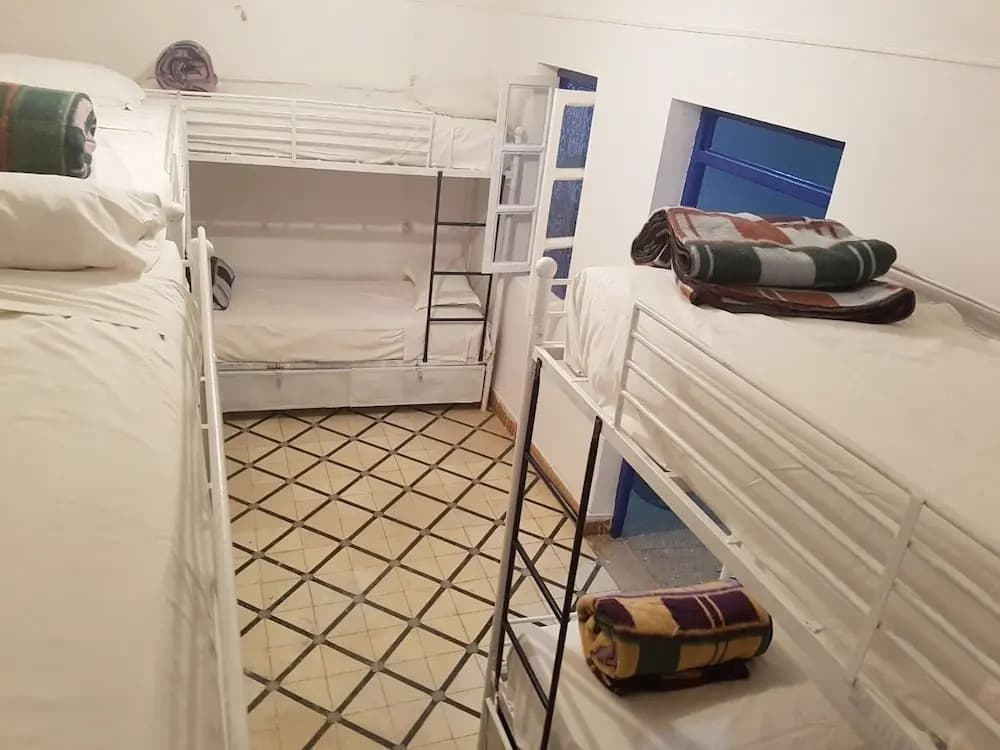 Majorelle Hostel - photo 4