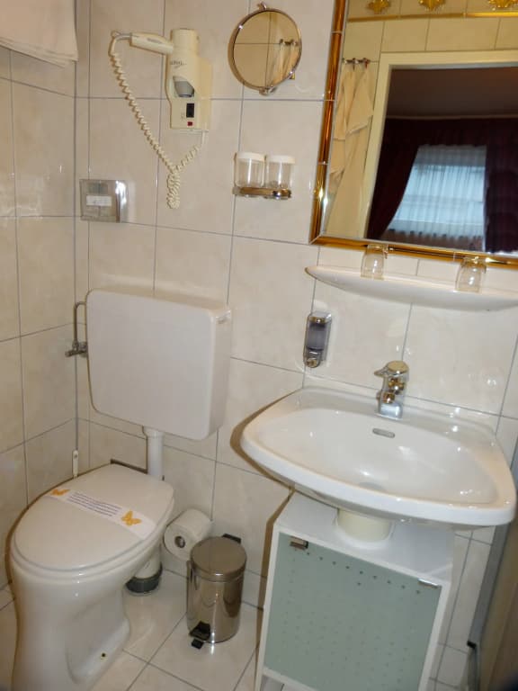 Boutique Hotel Zur Wiener Staatsoper - photo 8