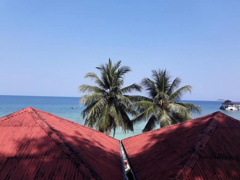 Senja Bay Resort - photo 8