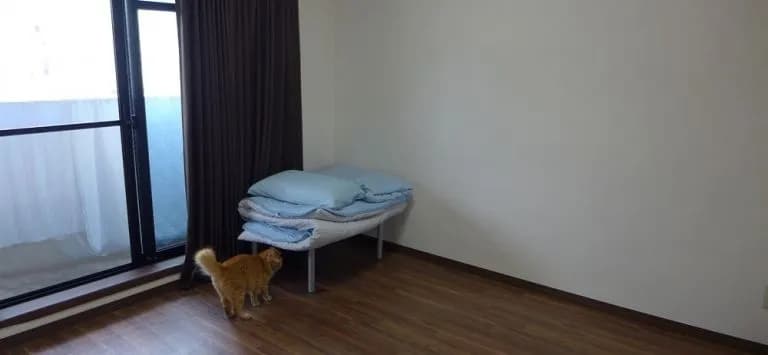 Namba Guesthouse - photo 5